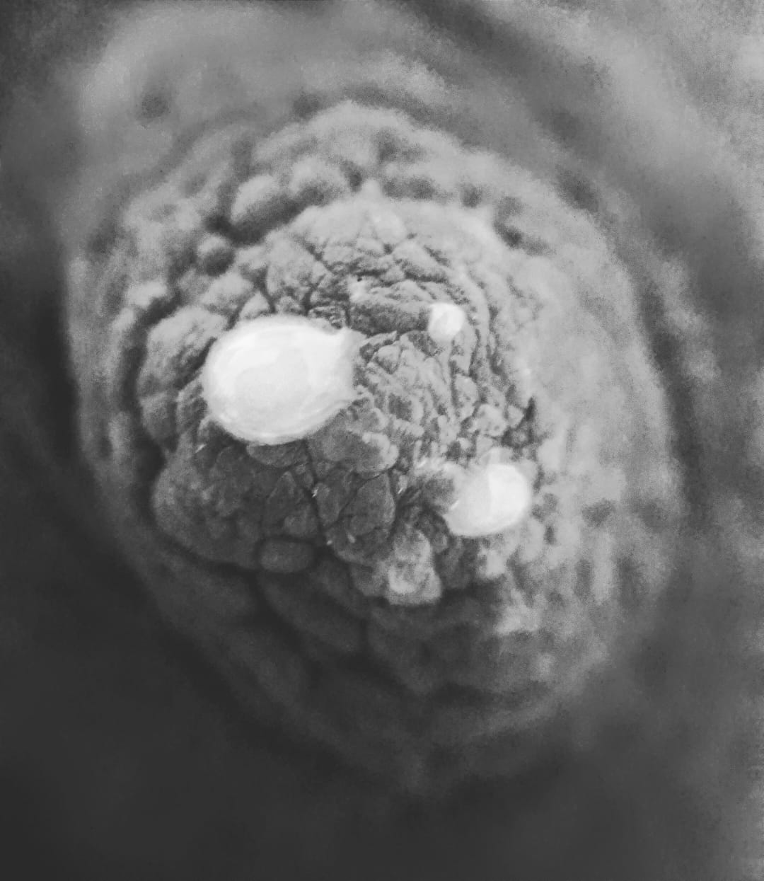 Allaitement & tire allaitement